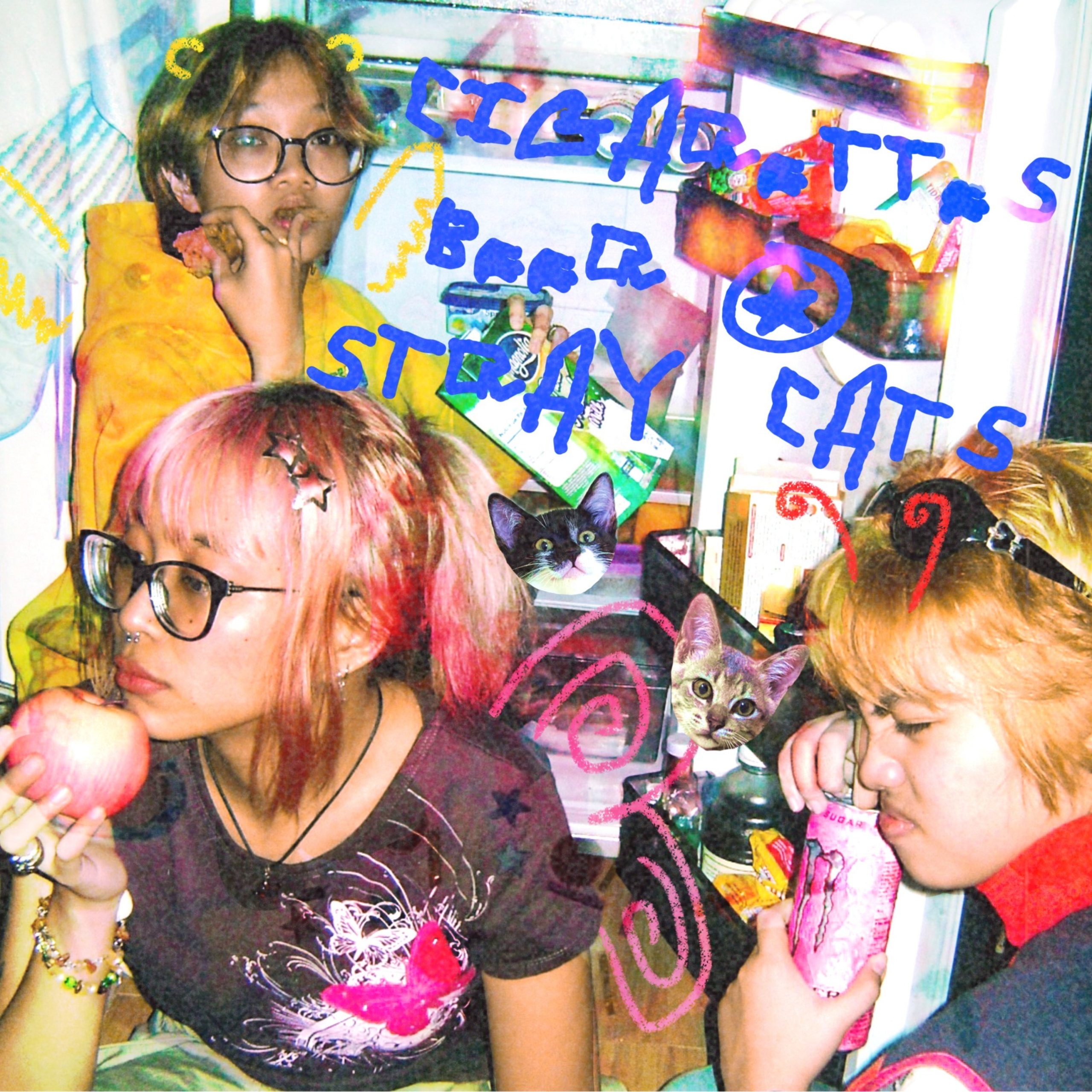 TRACK REVIEW: tuesday trinkets – Cigarettes, Beer, & Stray Cats