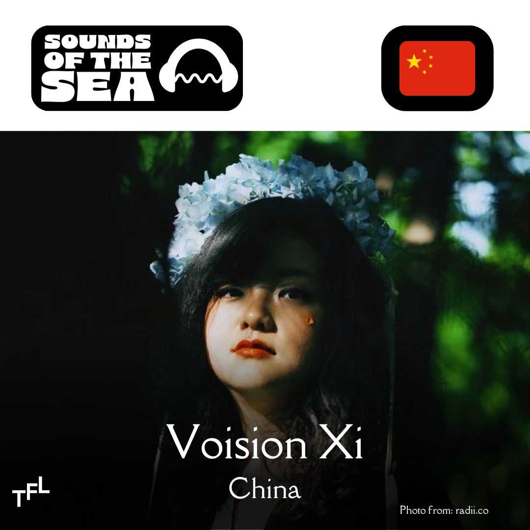 SOUNDS OF THE SEA: Voision Xi (China)