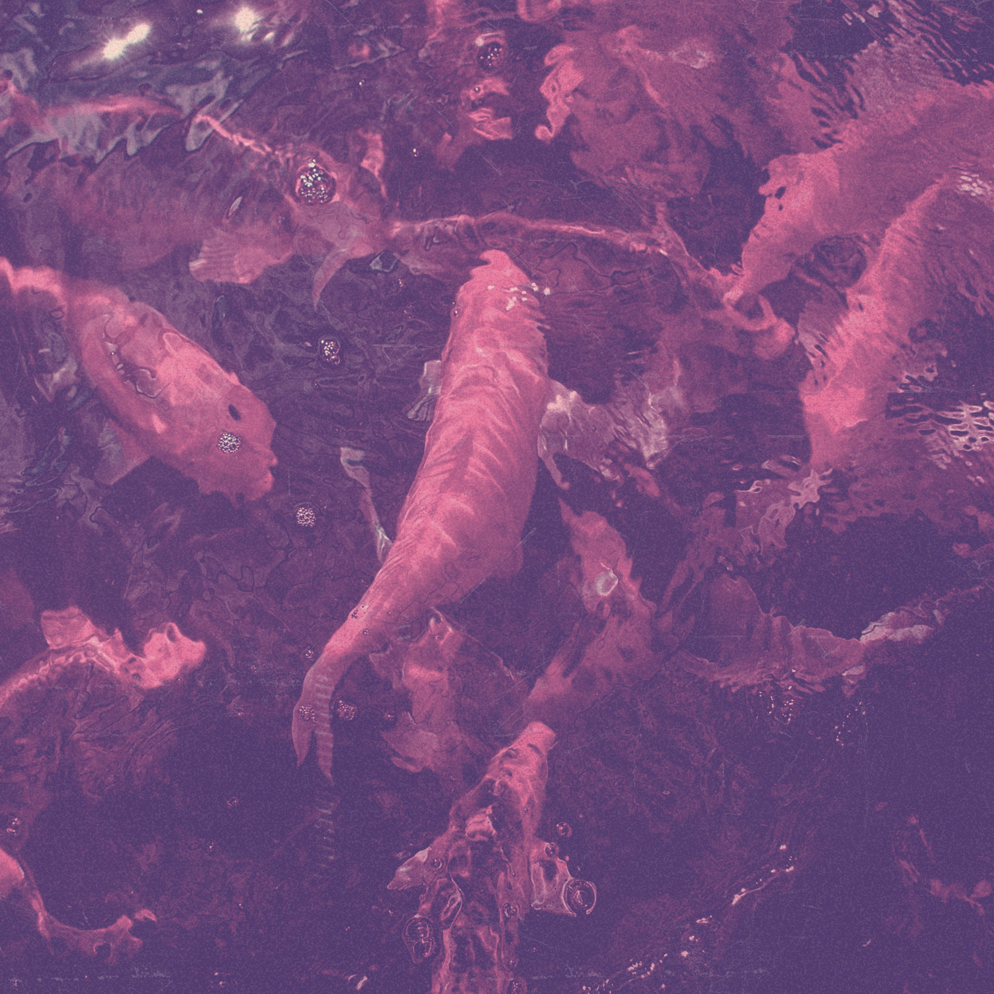 ALBUM REVIEW: We Are Imaginary – s/t