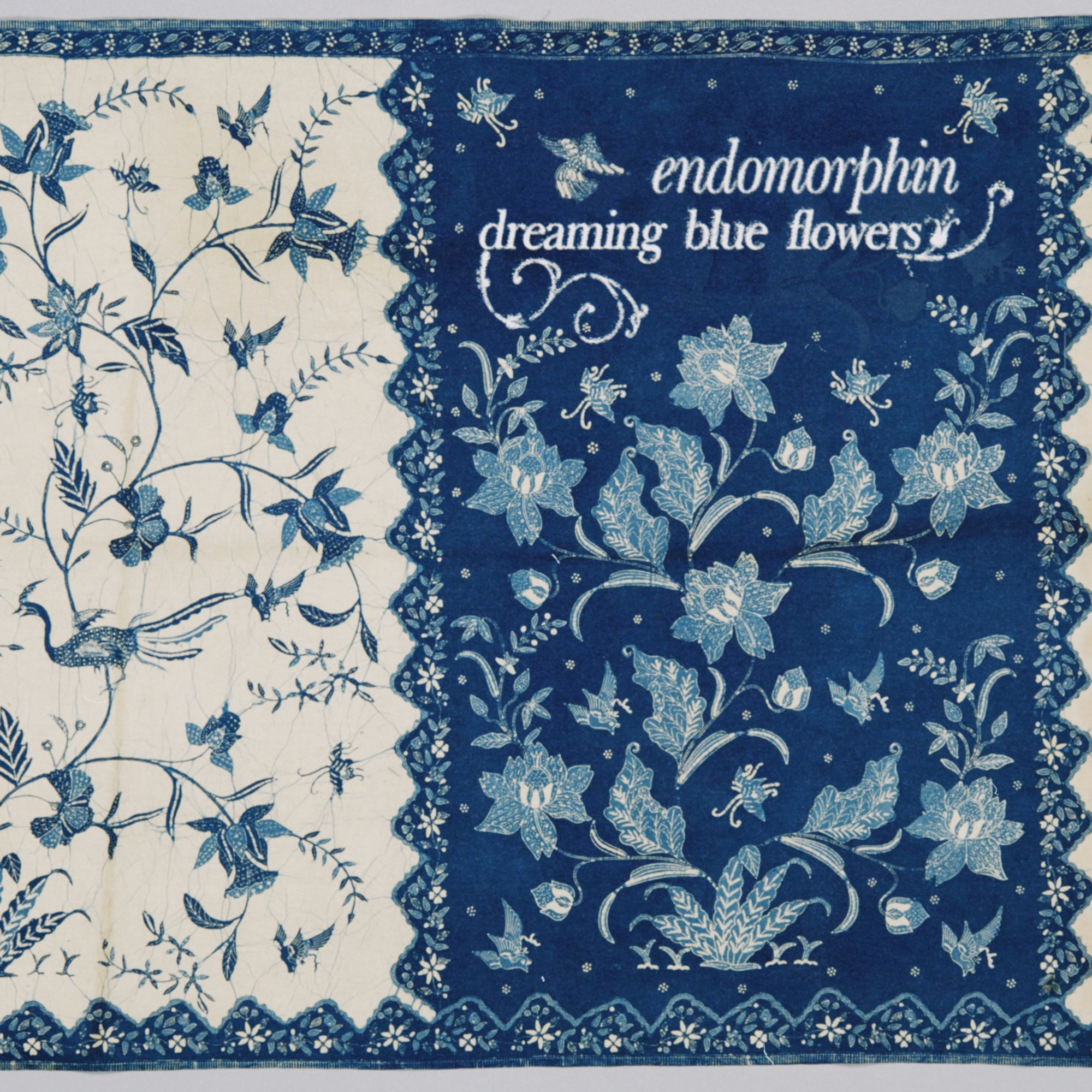 ALBUM REVIEW: dreaming blue flowers – endomorphins